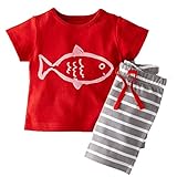 BIBNice Kids 2 Piece Cotton Short Sleeve Shirt and Shorts,Red-fish,2T