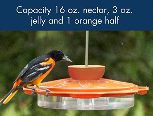 Woodlink Nao1 Audubon Classic Oriole Feeder Buy Online See