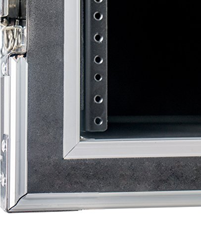 12 Space (12U) ATA Rack Effects Road Shock Mount Case (12" Deep) - Also For Wireless Systems