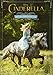 Cinderella Junior Novel