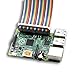 SunFounder GPIO Breakout Expansion Board for Raspberry Pi 3, 2 and RPi 1 Modle B+, 40-pin GPIO Cable Plus Adapter