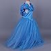 2015 New Cinderella Butterfly Party Dress Costume with Accessories (5-6)
