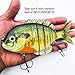 Soljer Blue Gill Sun Fish Panfish Talipia for Bass Fishing Lure (Blue Gill)