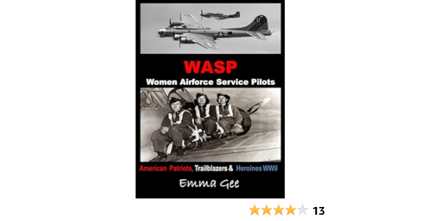 wasp air force