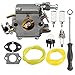 Hilom Carburetor for 309362001 309362003 Homelite Chainsaw UT10540 UT10542 UT10544 UT10546 UT10548 UT10560 UT10566 UT10568 UT10580 UT10582 UT10584 UT10586 UT10588 35cc 38cc 42cc Carb primary