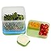 Rubbermaid Green Salad Container Kit, 5.2 Cup Capacity, BPA-Free