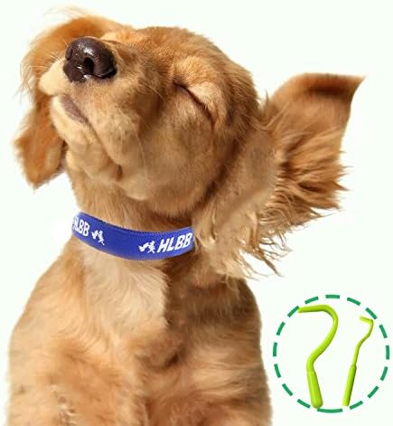 Pet Dogs and Cats Flea &Tick Collar with Natural Botanical Essence for Controlling Remedy Repelling Flea Egg, Mosquito,lice with High-efficiency for Large/Medium/Small Dogs and Cats (Small Dog)