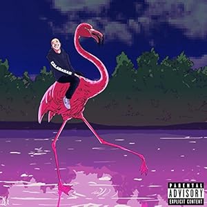 Token - Flamingo