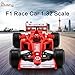 Car model kit-toy cars（no batteries needed)-toy race car-F1 racing car （1:32 scale）