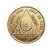 4 Month Bronze AA (Alcoholics Anonymous) - Sober / Sobriety / Birthday / Anniversary / Recovery / Medallion / Coin / Chip