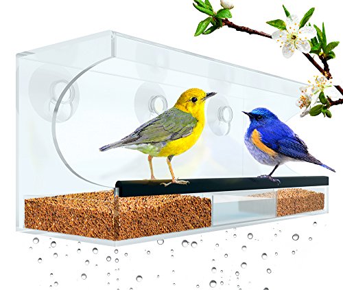 Flock To Me Clear Bird Feeder With Lifetime Replacement Guarantee. Self-Draining and Easy to Clean with Removable Tray. Entertaining Bird Watching From Inside Your Home