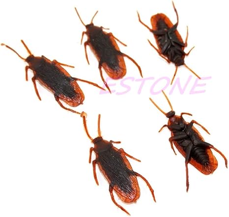 Amazon Co Jp 実のある 偽のゴキブリ 昆虫の虫教育玩具楽しいジョークトリックグッズ費用対効果の高い良質 ホーム キッチン