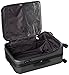 Delsey Helium Shadow 3.0 25-Inch Expandable Spinner Trolley, Platinum, One Size