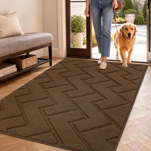 Biscpro Fußmatte Innen Außen Waschbar eingangsteppich innen Schmutzfangmatte rutschfest,Türmatte Innen Teppich für Eingang, Patio, Flur, Garten, Innen