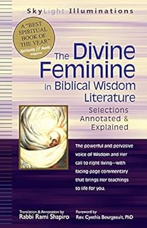 ISBN 9781594731099 product image for The Divine Feminine in Biblical Wisdom Literature: Selections Annotated & Explai | upcitemdb.com