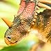 Safari Ltd. Styracosaurus Figurine - Detailed 8