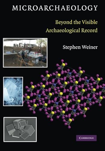 Download Microarchaeology PDF