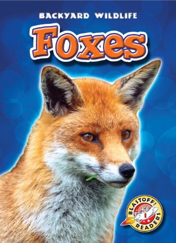 Foxes (Blastoff! Readers: Backyard Wildlife) (Blastoff Readers. Level 1)