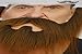 Mustaches Self Adhesive, Novelty, Nomad Fake Beard and Fake Mustache, False Facial Hair, Costume Accessory for Adults, Brown Color