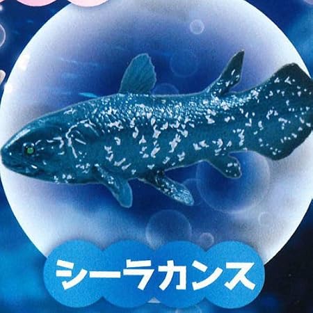Amazon ぷにっとキモカワ深海魚 5 シーラカンス 単品 カプセル玩具 おもちゃ