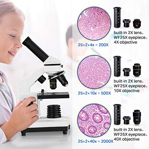 1 200X+2000X+Microscopes+Microscope+Biological+Laboratory