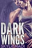 Dark Wings (Never Dark Book 1)
