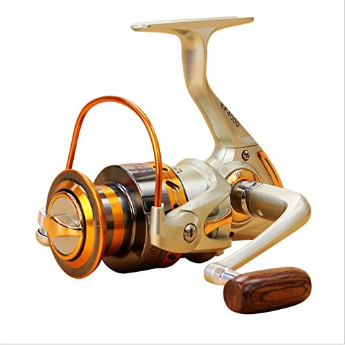 Fyx Moulinet de Pêche en Mer 12BB Roulements à Bille avec Poignée en Métal EF500-9000