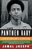 Panther Baby: A Life of Rebellion & Reinvention by 
