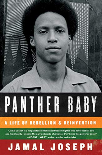 Panther Baby: A Life of Rebellion & Reinvention by Jamal Joseph