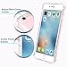 iPhone 6 Plus Case, iPhone 6S Plus Case, Basse Crystal Clear Shock-Absorption, Bumper Cover Anti-Scratch Case for iPhone 6 Plus, 6S Plus (5.5 inch) – Clear