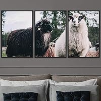 3 Piece Framed Canvas Wall Art Fun Animals Canvas Prints Home Artwork Decoration for Living Room,Bedroom - 16
