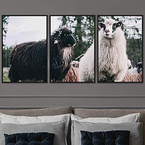 signwin 3 Piece Framed Canvas Wall Art Fun...