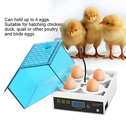 SOULONG Automatischer Inkubator, Mini Egg Hatching 4 Egg Digital mit LED-Display für den Gebrauch von Küken Brutmaschine Ei-Brutkasten 10x10x11,5 cm (LxBxH) 15w – Bild 7