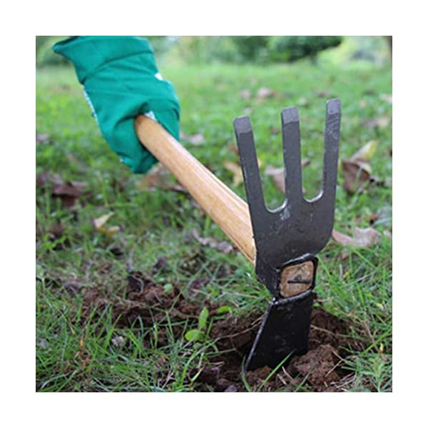 Cabilock Gartenhacke Kleinhacke Doppelkopf Hacken Stahl Spatengabel mit Holzgriff Grabegabel zum Umgraben und Auflockern… – Bild 4