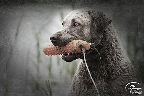 SportDOG Brand 425 Family Remote Trainers - Including New X-Series - Waterproof, Rechargeable Dog Training Collars with Shock, Vibrate, and Tone - 500 Yard Range - Thumbnail 3