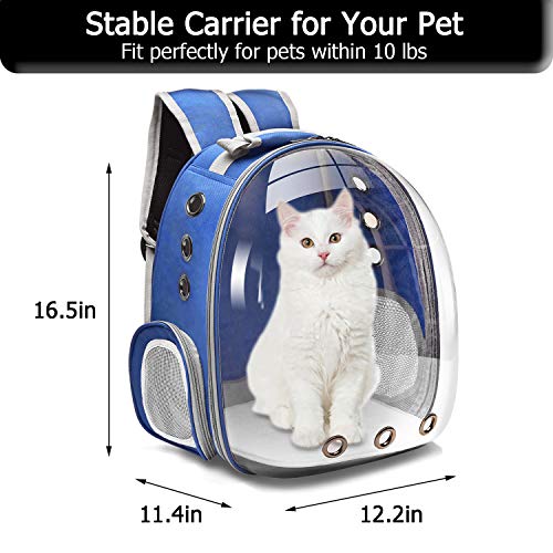 medium dog backpack carrier