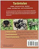 Image de Tarantulas: Fascinantes y Exoticas / Fascinating and Exotic (Mascotas en Casa / Pets at Home) (Spanish Edition)
