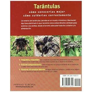 Tarantulas: Fascinantes y Exoticas / Fascinating and Exotic (Mascotas en Casa / Pets at Home) (Spanish Edition)