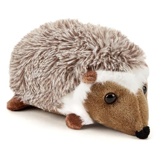 Hedgehog