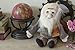 The Unemployed Philosophers Guild Charles Darwin Little Thinker - 12