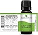 Plant Therapy Nature Shield Essential Oil Blend 10 mL (1/3 oz) 100% Pure, Undiluted, Natural Aromatherapy, Therapeutic Grade