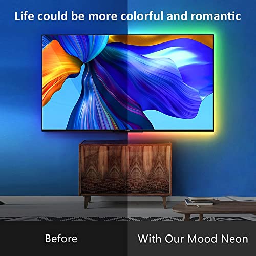 NeonFun Neon Light Strip, Neon LED Strip Lights, Neon Flex Light, Bendable Neon Light Strip, TV & LCD Backlight, Esports Room Mood Light, Usb Power, Waterproof, 19.6in, Blue