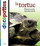 Tortue by 