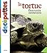 Tortue by 