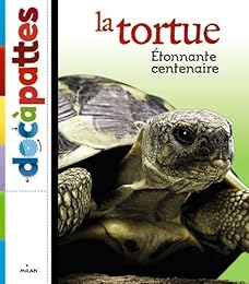 La  tortue