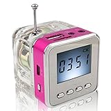 Haoponer Portable Mini Digital Display Screen Speaker USB Flash Drive Micro SD/TF Card Music MP3 Player FM Radio Rose