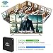 Kingbox Android TV Box 8.1, Model X Android Box with 2GB RAM 16GB ROM Quad-Core Support Dual-Band WiFi 2.4G+5G / 4K / 3D / H.265 Smart TV Box (Model X 8.1)