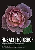 Fine Art Photoshop: Diving Into the World of Photographic Art