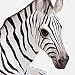 Bits and Pieces - Zoey The Zebra - Sculpture for Your Garden, Lawn or Patio - Lifelike Durable Polyresin Statue - Garden Décor