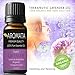 Organic 100% Pure Lavender Essential Oil (Bulgarian) by AROMATA -- Enjoy the soothing, therapeutic health benefits of this premium-quality, undiluted, therapeutic-grade lavender oil (10ml)